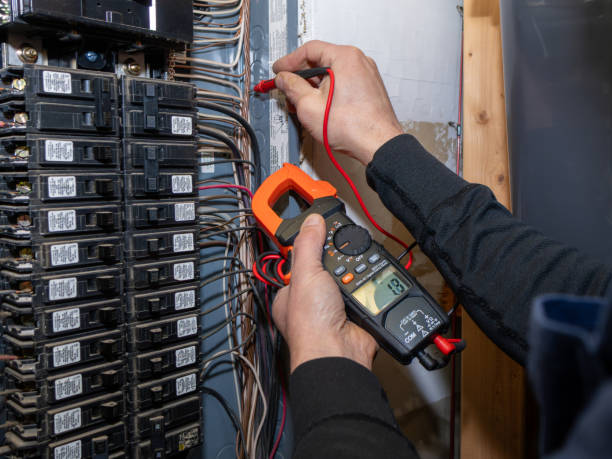 Best Ceiling Fan Installation Electrician  in Greenup, IL